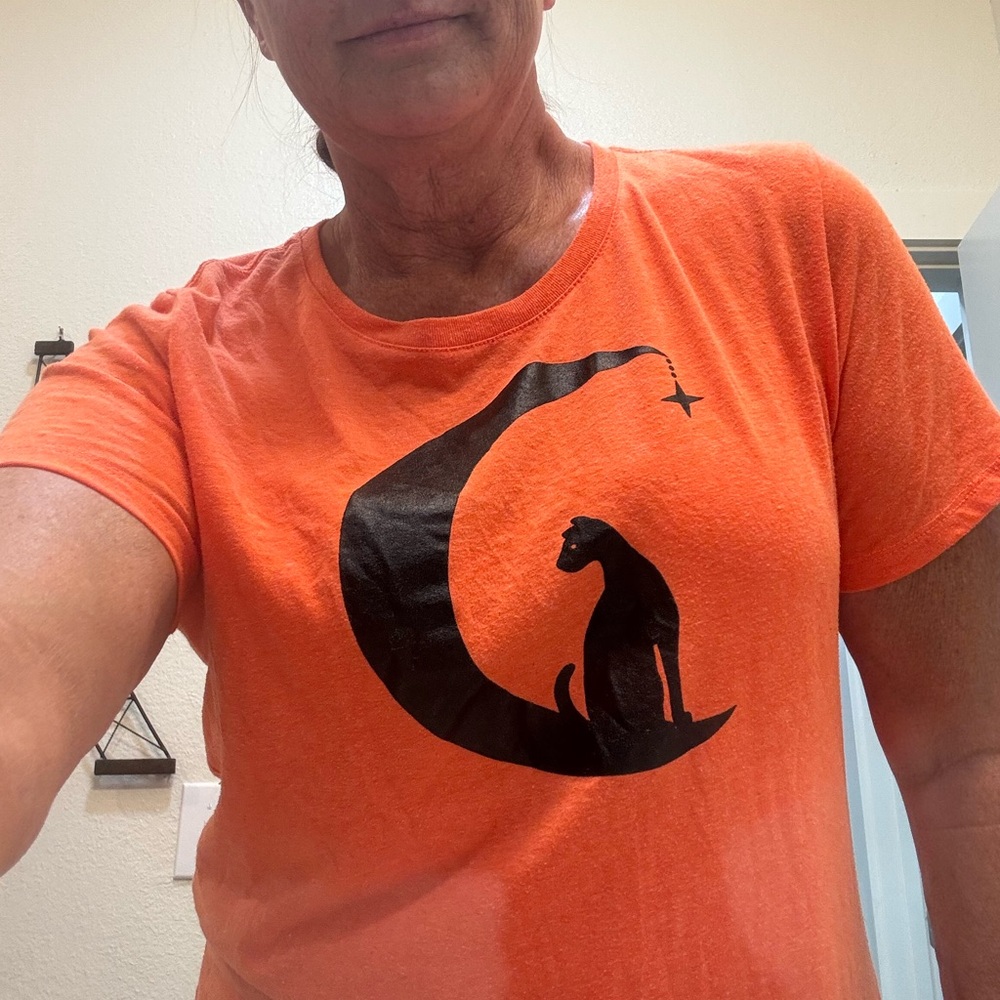 Halloween Orange T-Shirt with Black Cat Design Kids Lg. (12/14)